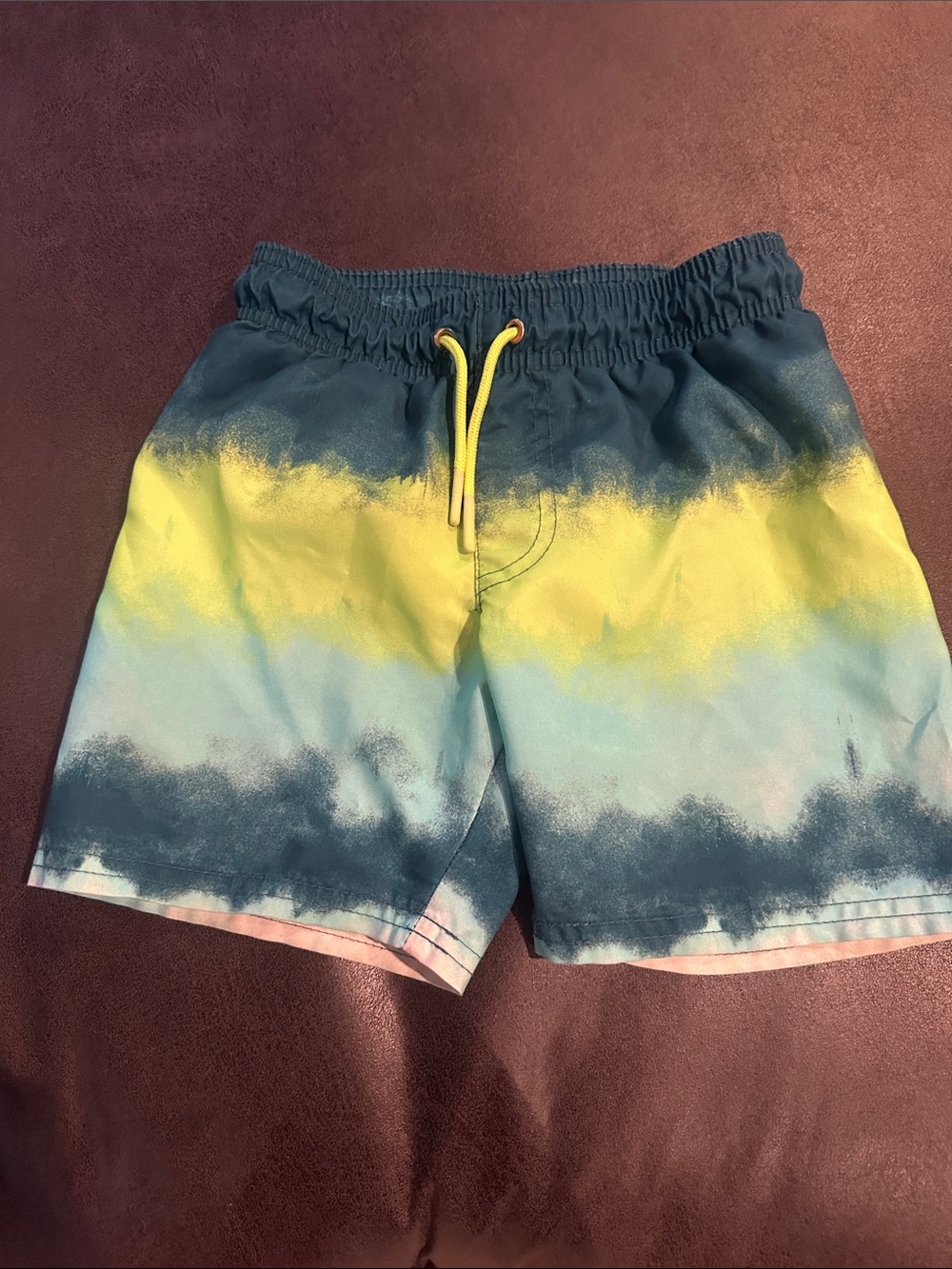 Cat & Jack Teal Swim Trunks with White Mesh Lining